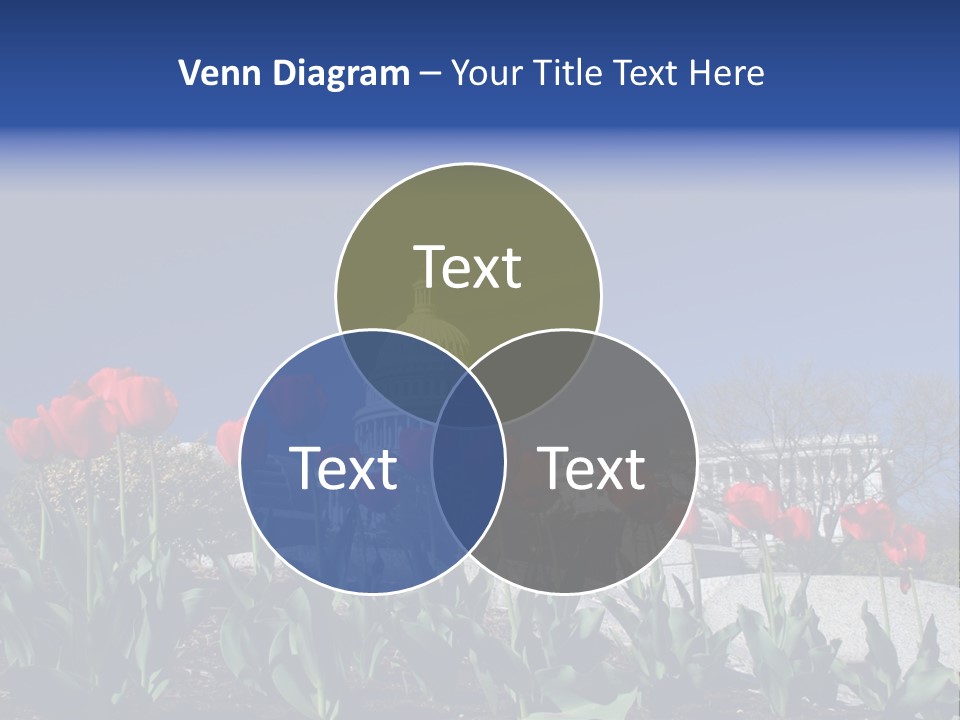 Red Capital Washington PowerPoint Template