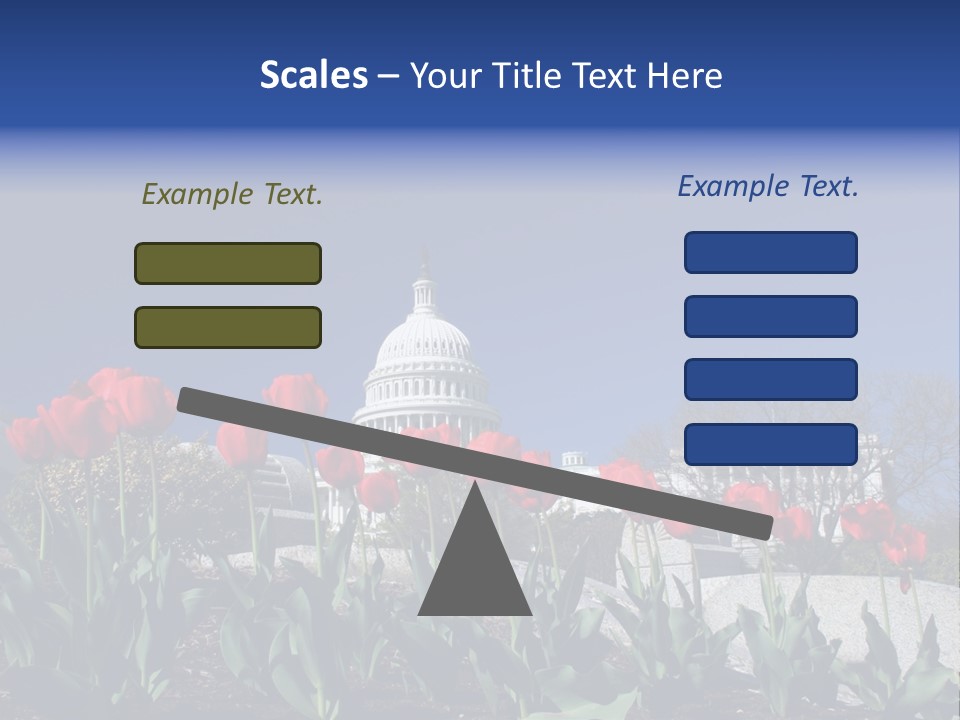 Red Capital Washington PowerPoint Template