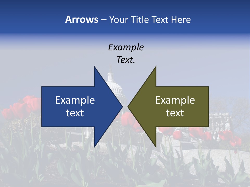 Red Capital Washington PowerPoint Template