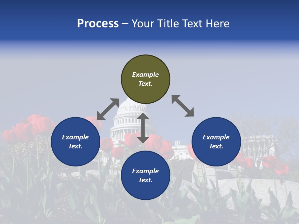 Red Capital Washington PowerPoint Template