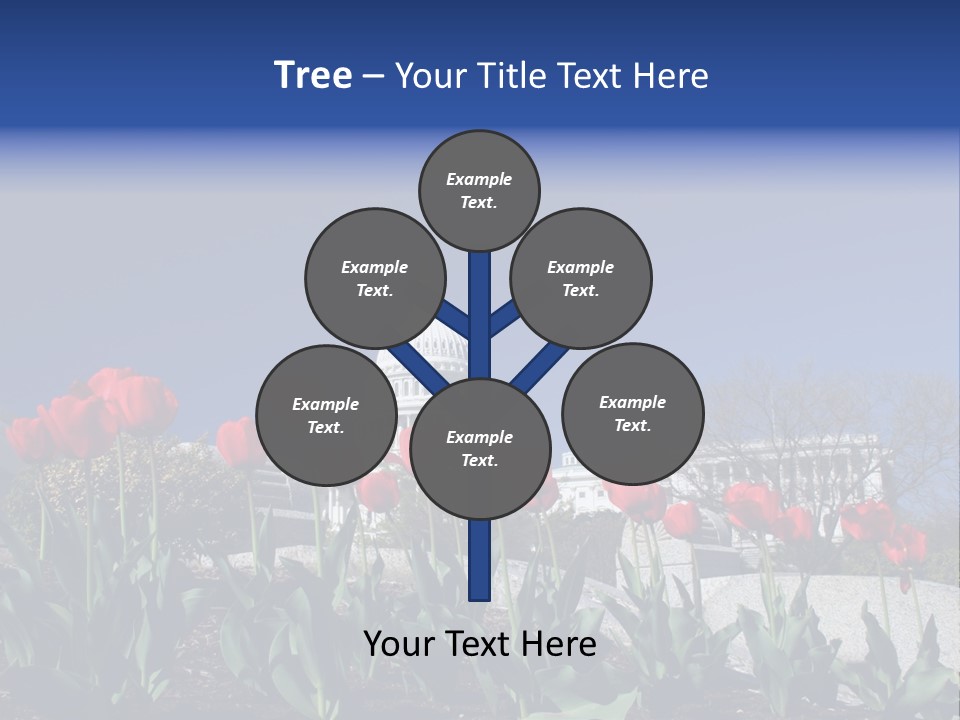 Red Capital Washington PowerPoint Template