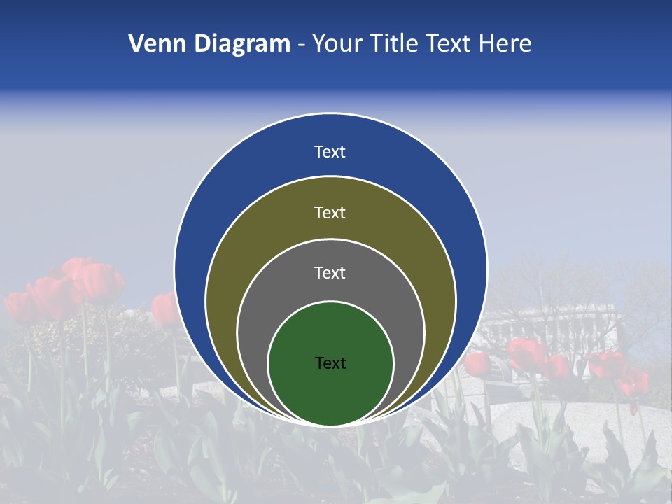 Red Capital Washington PowerPoint Template