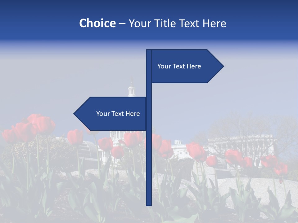 Red Capital Washington PowerPoint Template