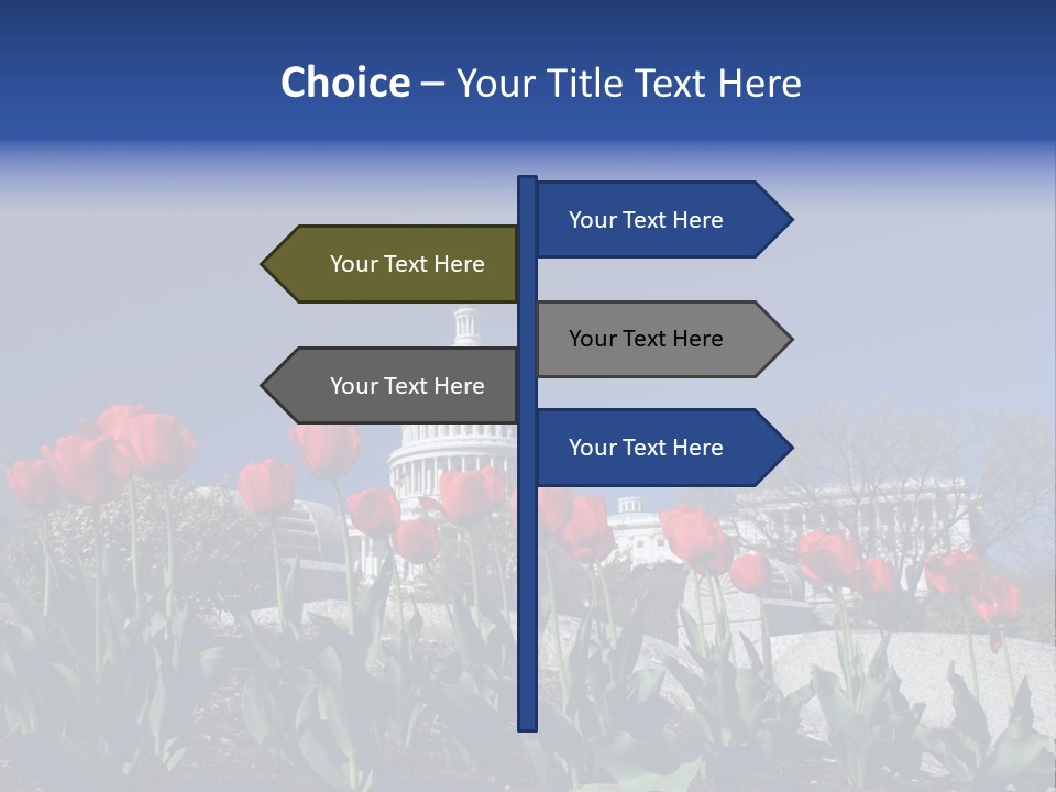 Red Capital Washington PowerPoint Template