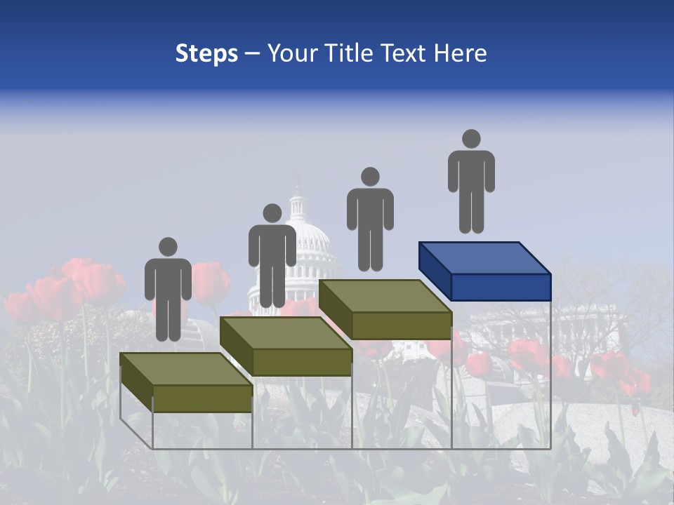 Red Capital Washington PowerPoint Template