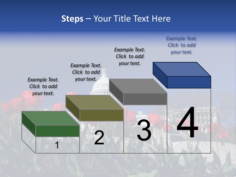 Red Capital Washington PowerPoint Template