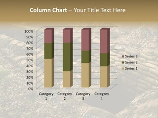 War Trench First PowerPoint Template