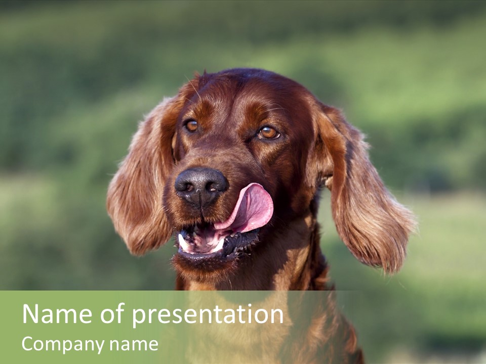 Cute Lick Lip PowerPoint Template