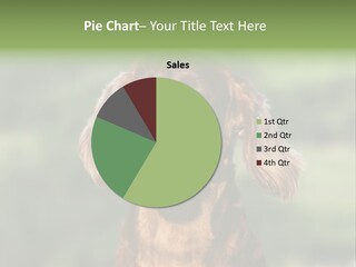 Cute Lick Lip PowerPoint Template