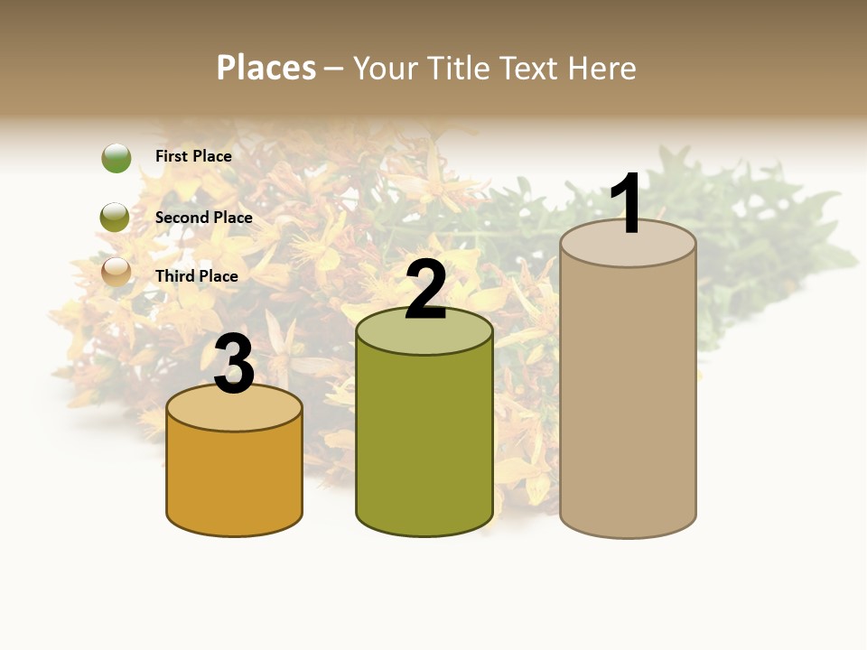 Treatment Haulm Inflorescence PowerPoint Template