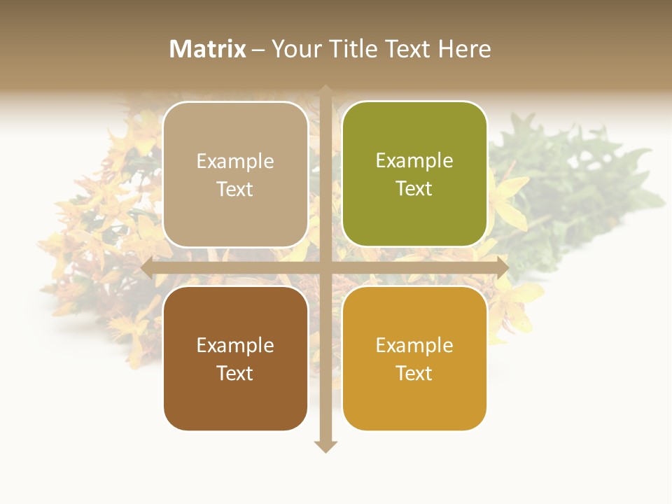 Treatment Haulm Inflorescence PowerPoint Template