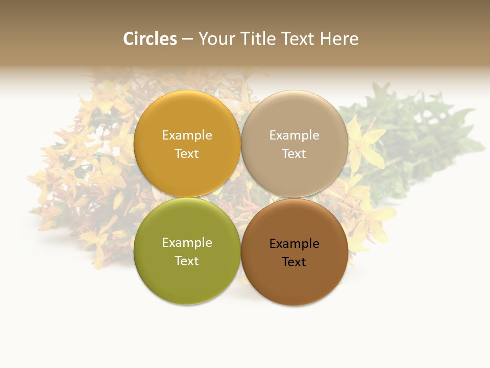Treatment Haulm Inflorescence PowerPoint Template