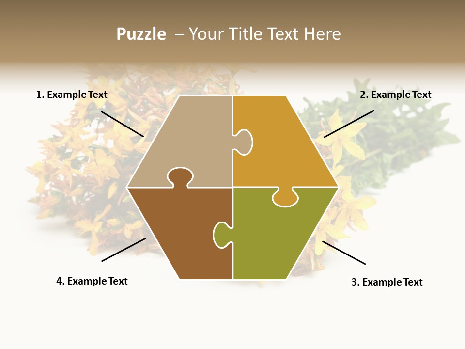 Treatment Haulm Inflorescence PowerPoint Template