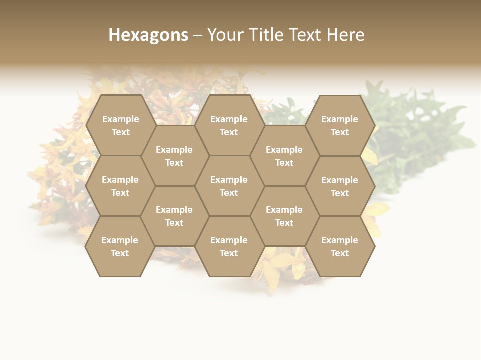 Treatment Haulm Inflorescence PowerPoint Template