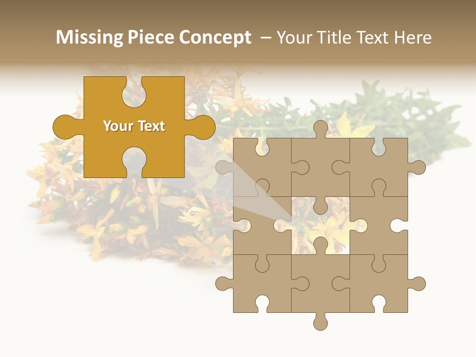 Treatment Haulm Inflorescence PowerPoint Template