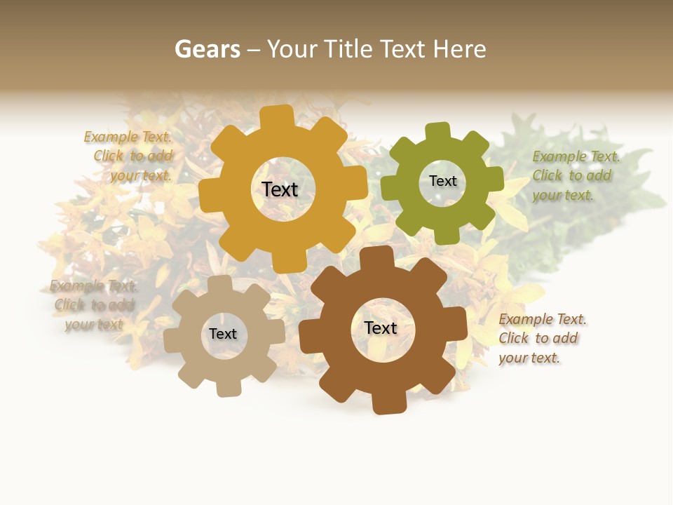 Treatment Haulm Inflorescence PowerPoint Template