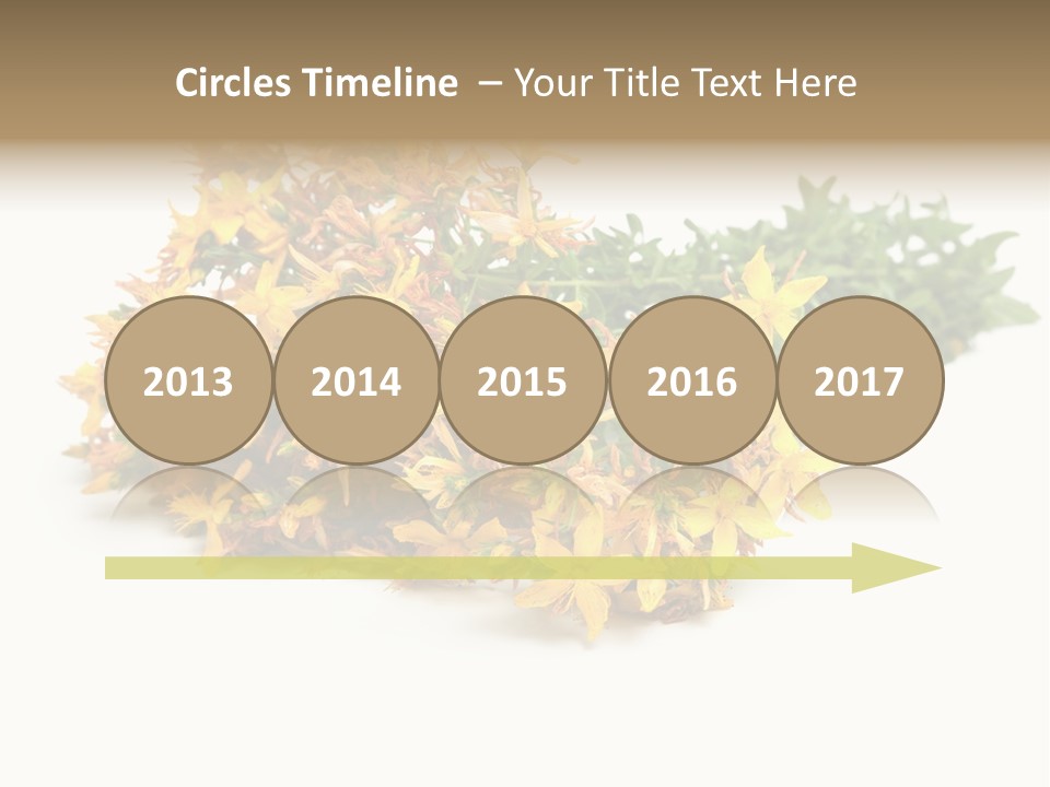Treatment Haulm Inflorescence PowerPoint Template