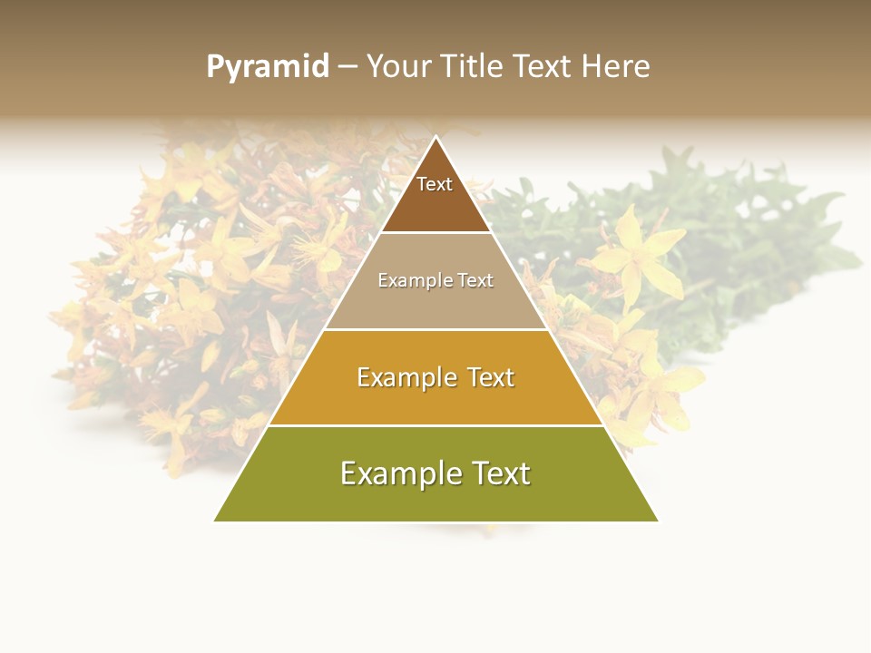 Treatment Haulm Inflorescence PowerPoint Template