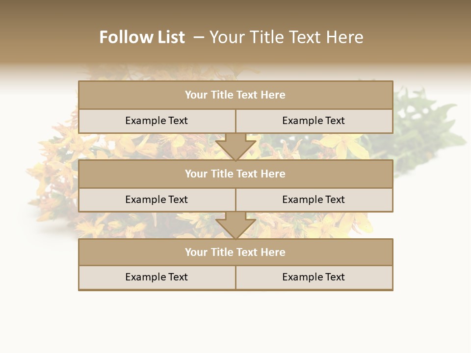 Treatment Haulm Inflorescence PowerPoint Template