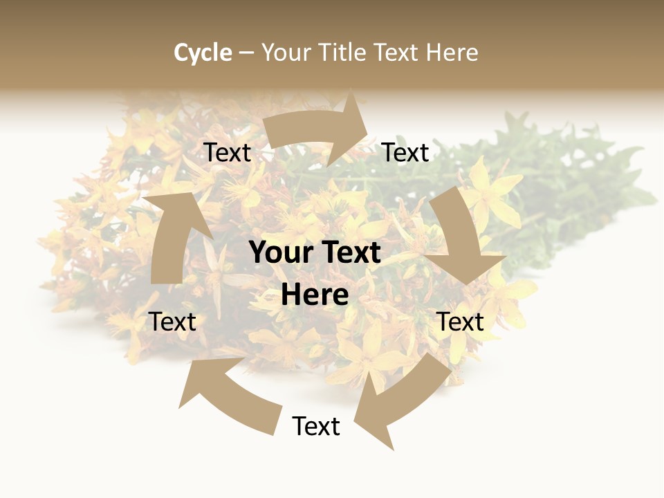 Treatment Haulm Inflorescence PowerPoint Template