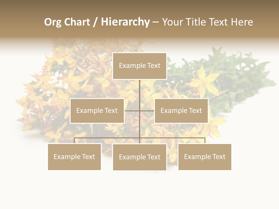 Treatment Haulm Inflorescence PowerPoint Template