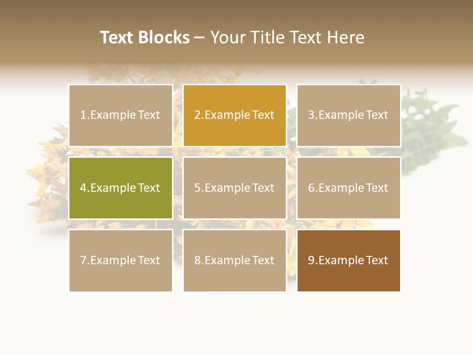 Treatment Haulm Inflorescence PowerPoint Template