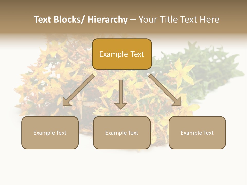 Treatment Haulm Inflorescence PowerPoint Template