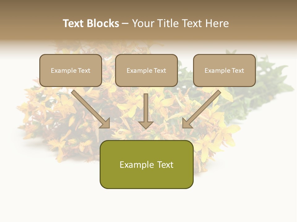 Treatment Haulm Inflorescence PowerPoint Template