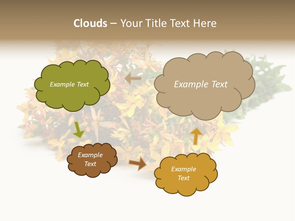 Treatment Haulm Inflorescence PowerPoint Template