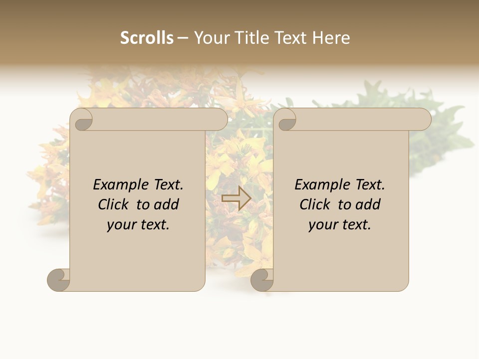 Treatment Haulm Inflorescence PowerPoint Template