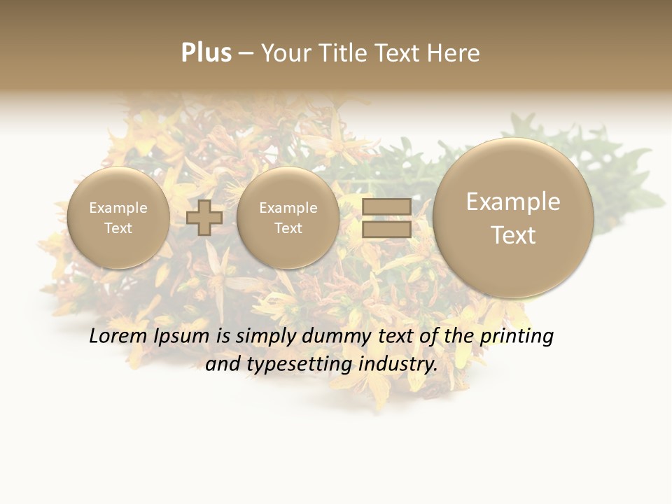 Treatment Haulm Inflorescence PowerPoint Template