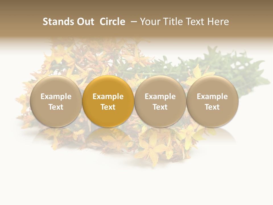 Treatment Haulm Inflorescence PowerPoint Template