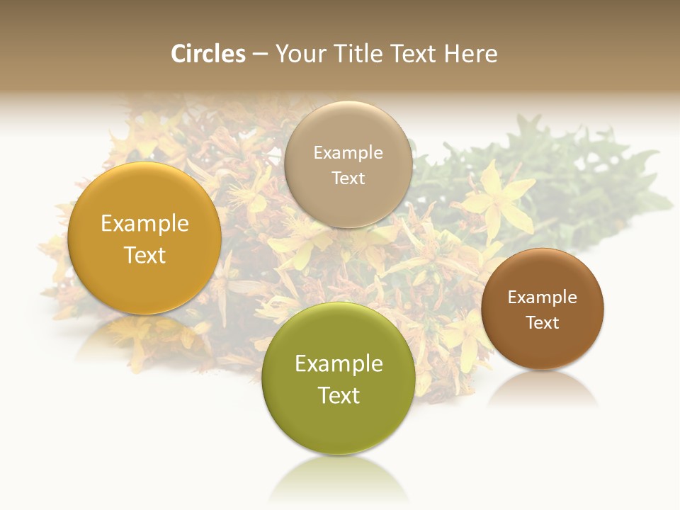 Treatment Haulm Inflorescence PowerPoint Template