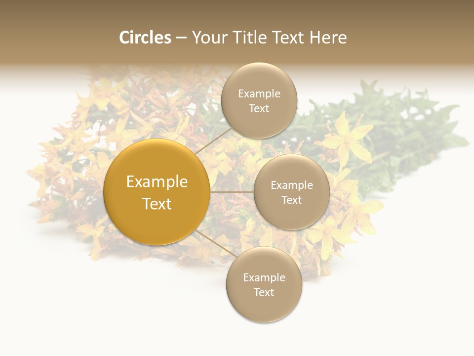 Treatment Haulm Inflorescence PowerPoint Template