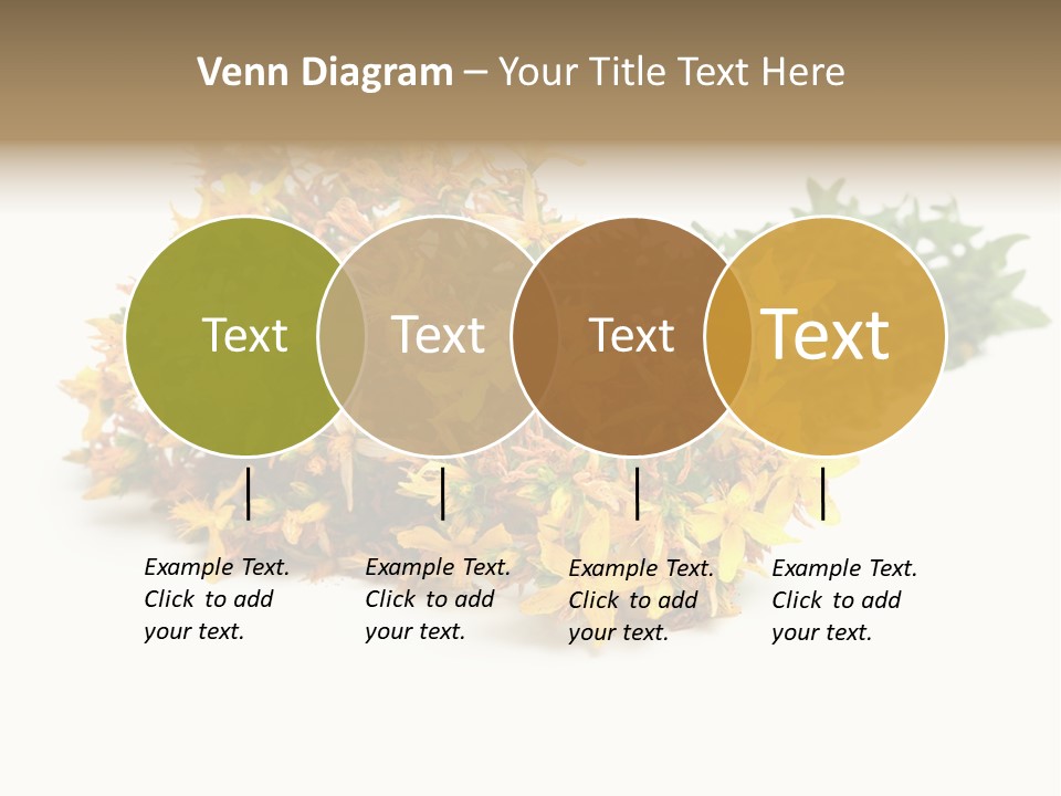 Treatment Haulm Inflorescence PowerPoint Template