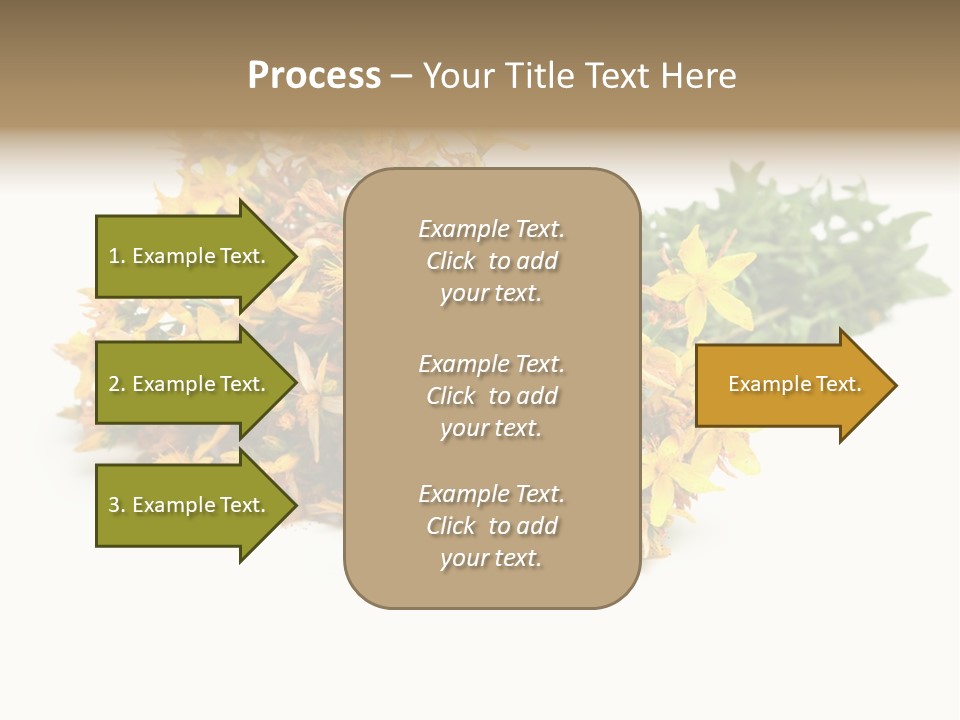 Treatment Haulm Inflorescence PowerPoint Template