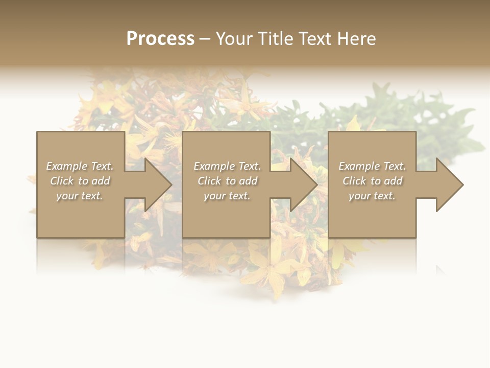 Treatment Haulm Inflorescence PowerPoint Template