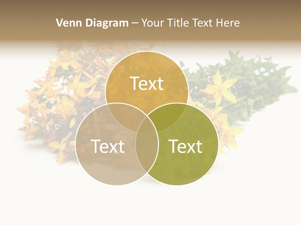 Treatment Haulm Inflorescence PowerPoint Template