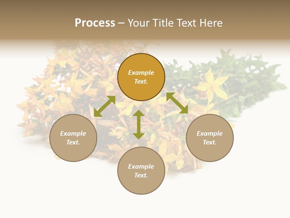 Treatment Haulm Inflorescence PowerPoint Template