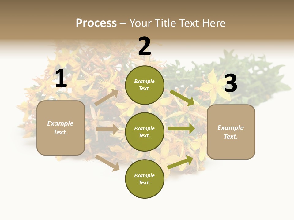 Treatment Haulm Inflorescence PowerPoint Template