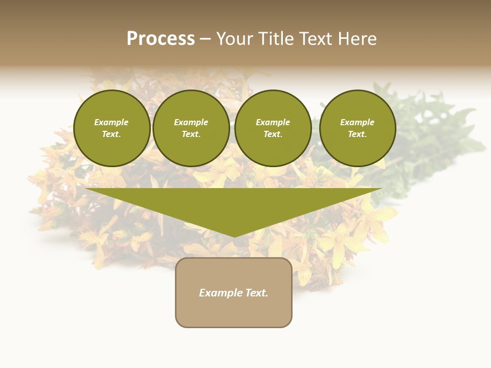 Treatment Haulm Inflorescence PowerPoint Template