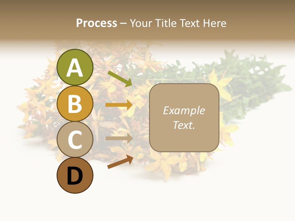 Treatment Haulm Inflorescence PowerPoint Template