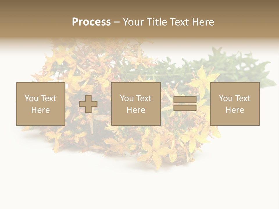 Treatment Haulm Inflorescence PowerPoint Template