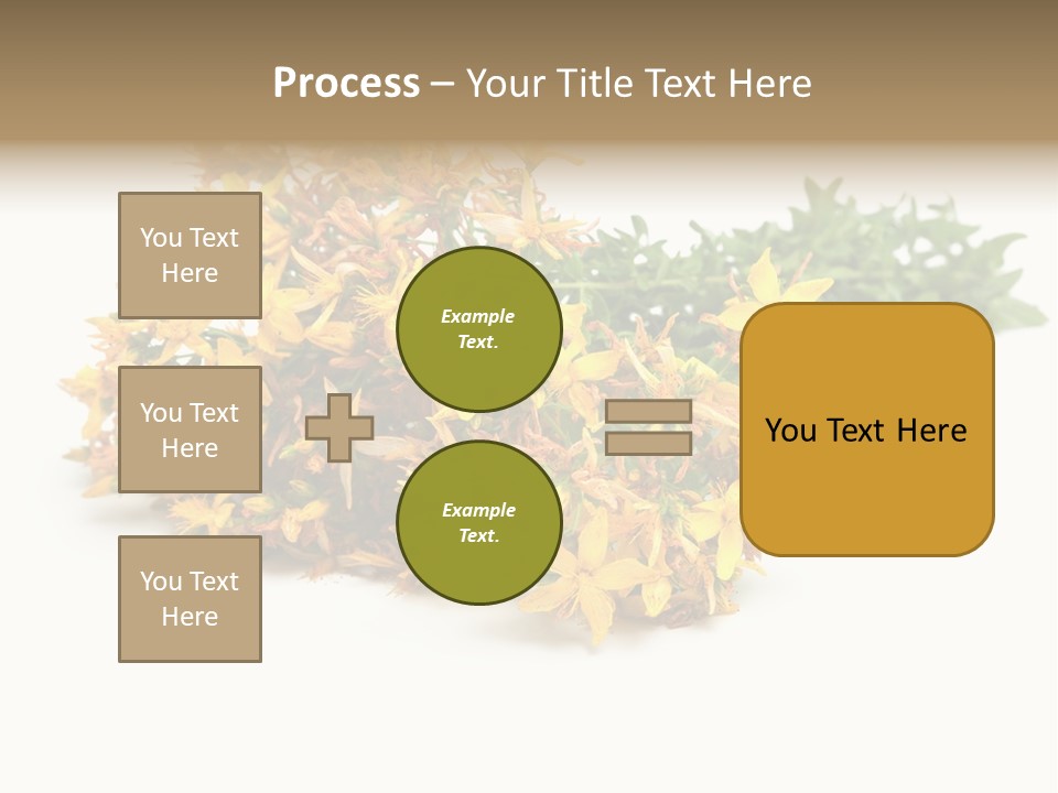 Treatment Haulm Inflorescence PowerPoint Template