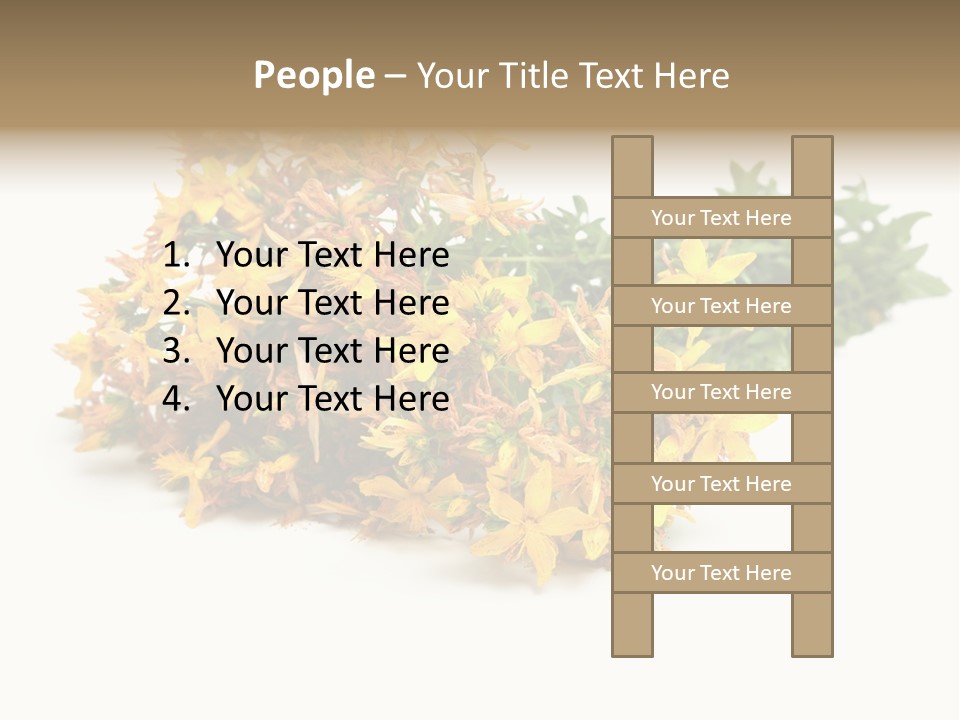 Treatment Haulm Inflorescence PowerPoint Template
