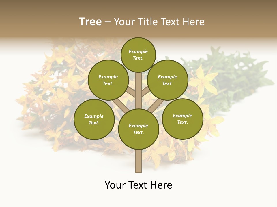 Treatment Haulm Inflorescence PowerPoint Template