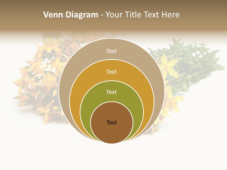 Treatment Haulm Inflorescence PowerPoint Template