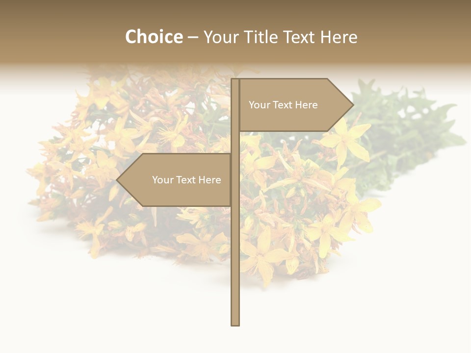 Treatment Haulm Inflorescence PowerPoint Template