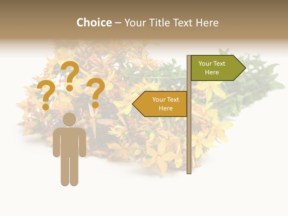 Treatment Haulm Inflorescence PowerPoint Template