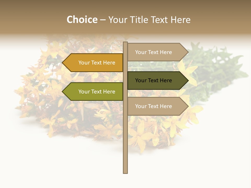 Treatment Haulm Inflorescence PowerPoint Template